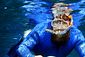 Smallerspotted Catshark Release